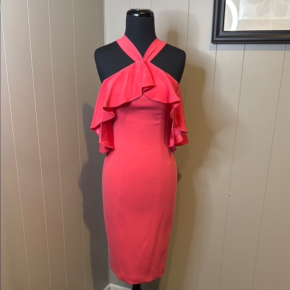 Z JAYGODFREY Women’s 0 Pink Bodycon Ruffle Midi Dress